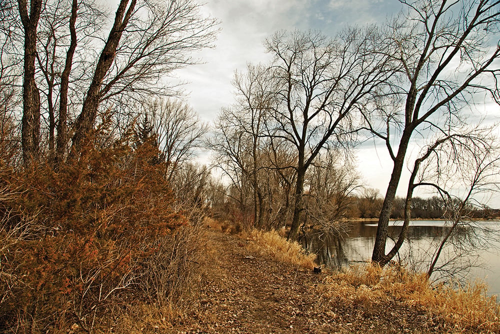 Sunnyside Conservancy 5